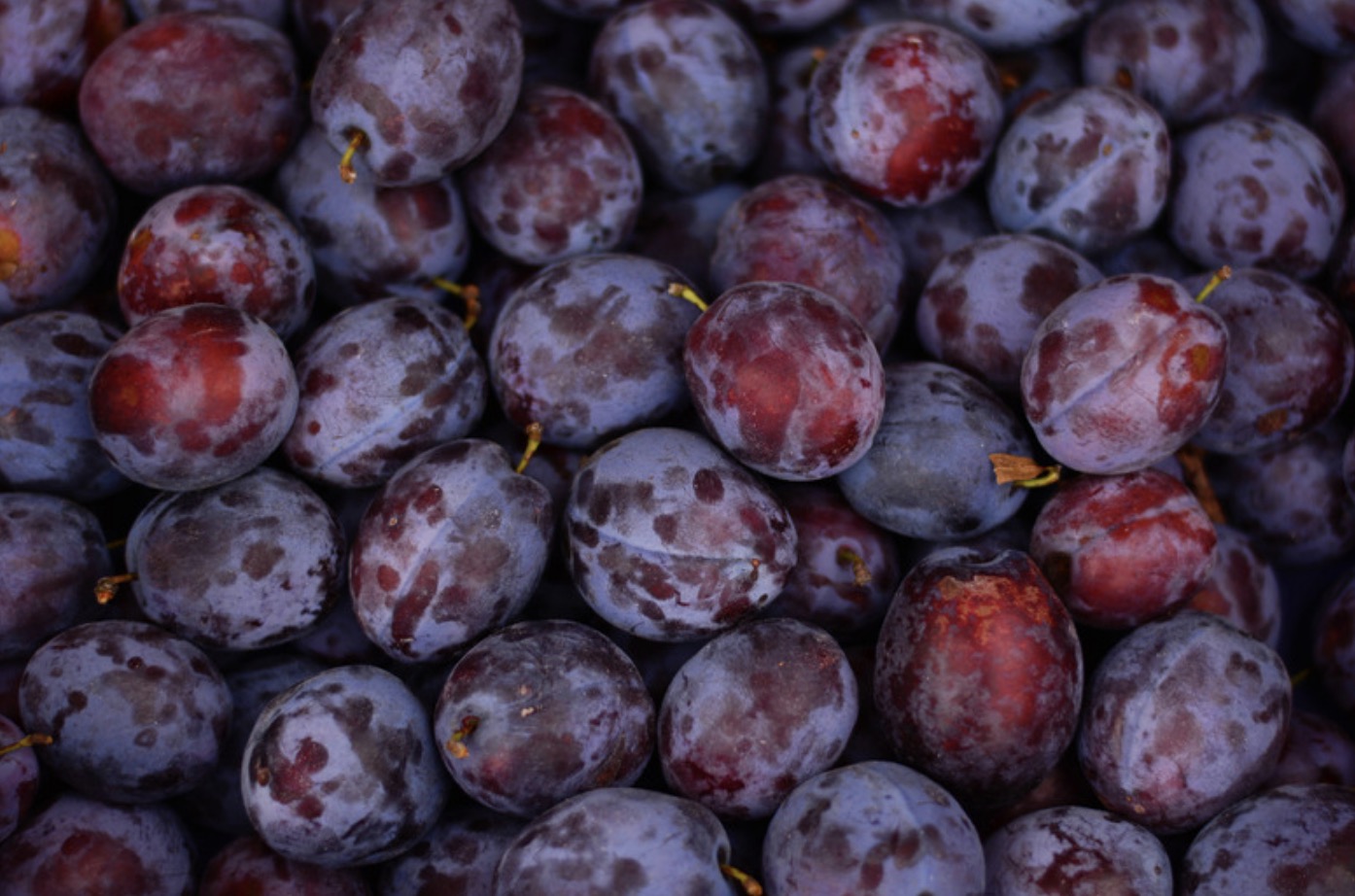 Can Rabbits Eat Plums? (Your Complete Guide to Rabbit Diet)